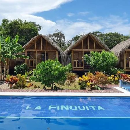 Hostal La Finquita 帕洛米诺 外观 照片