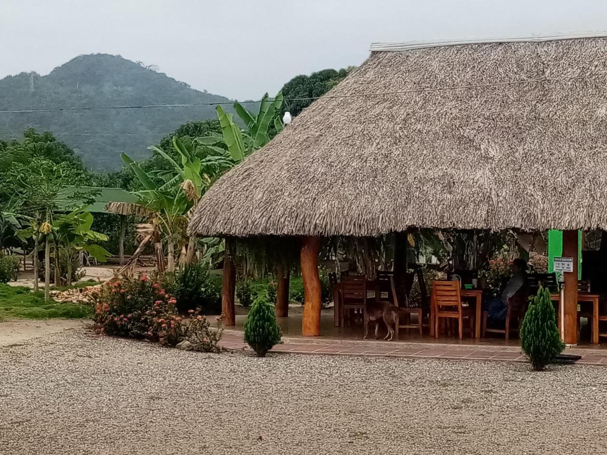 Hostal La Finquita 帕洛米诺 外观 照片