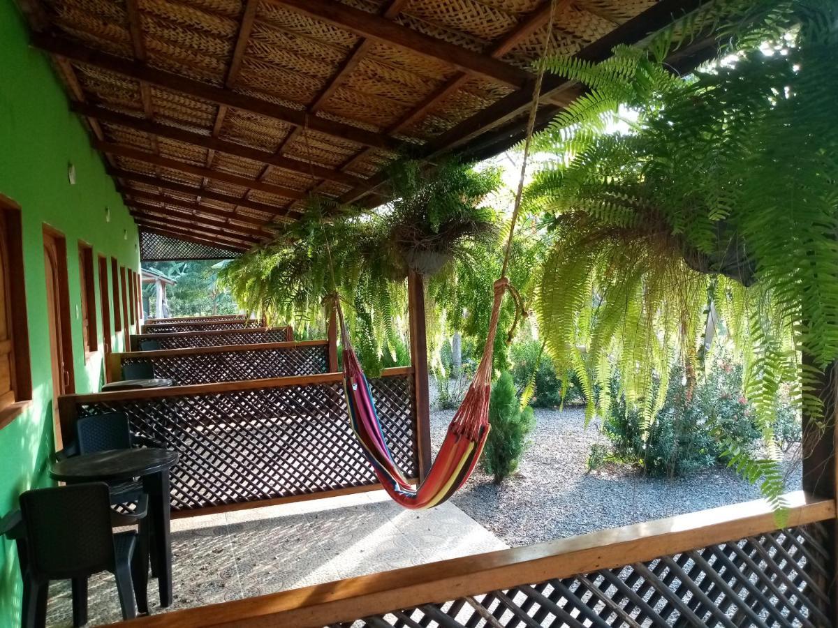 Hostal La Finquita 帕洛米诺 外观 照片