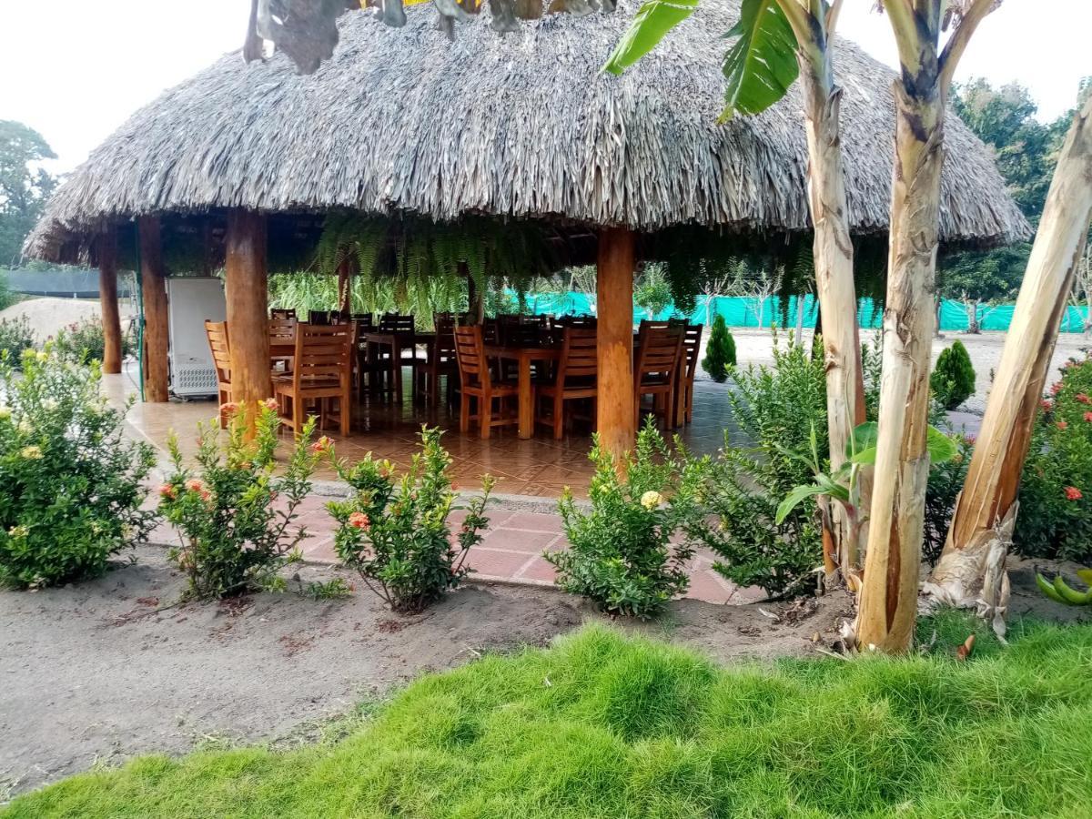 Hostal La Finquita 帕洛米诺 外观 照片