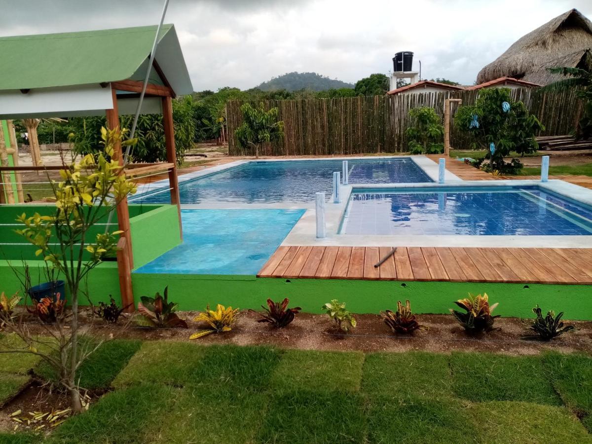 Hostal La Finquita 帕洛米诺 外观 照片