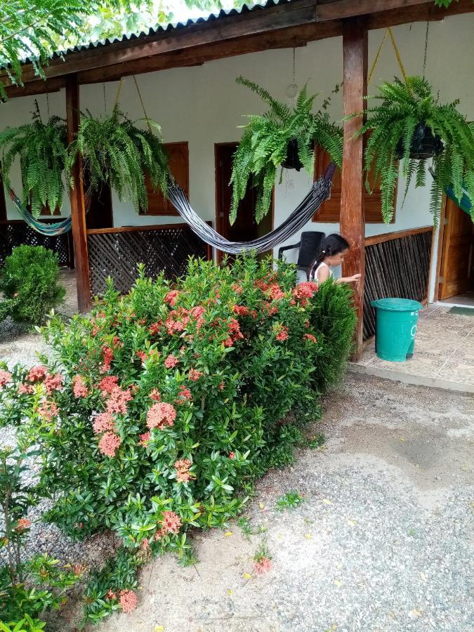 Hostal La Finquita 帕洛米诺 外观 照片