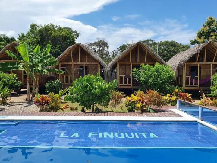 Hostal La Finquita 帕洛米诺 外观 照片